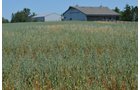 Property photo 16 - 21 Acre Modern Country Estate